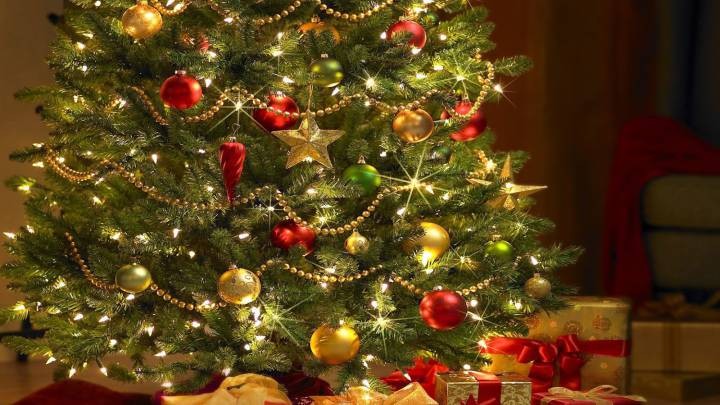 Árbol de Navidad: origen de la tradición y por qué se arma el 8 de diciembre | Curiosidades