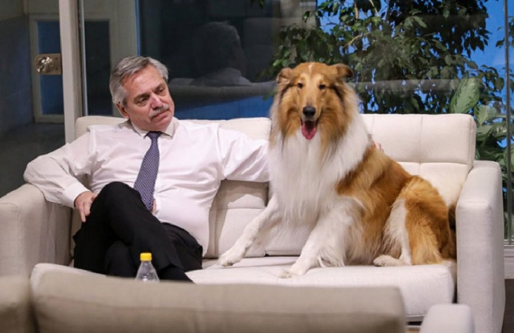 Se separaron Alberto Fernández y Dylan: "Ya está en Olivos" | Política