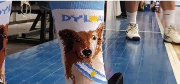 Las medias de Dylan: un jugador de básquet mostró sus medias con la cara del perro presidencial | Redes