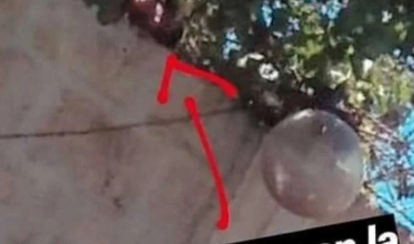 Su vecino la espiaba mientras tomaba sol y lo escrachó en las redes sociales | Redes