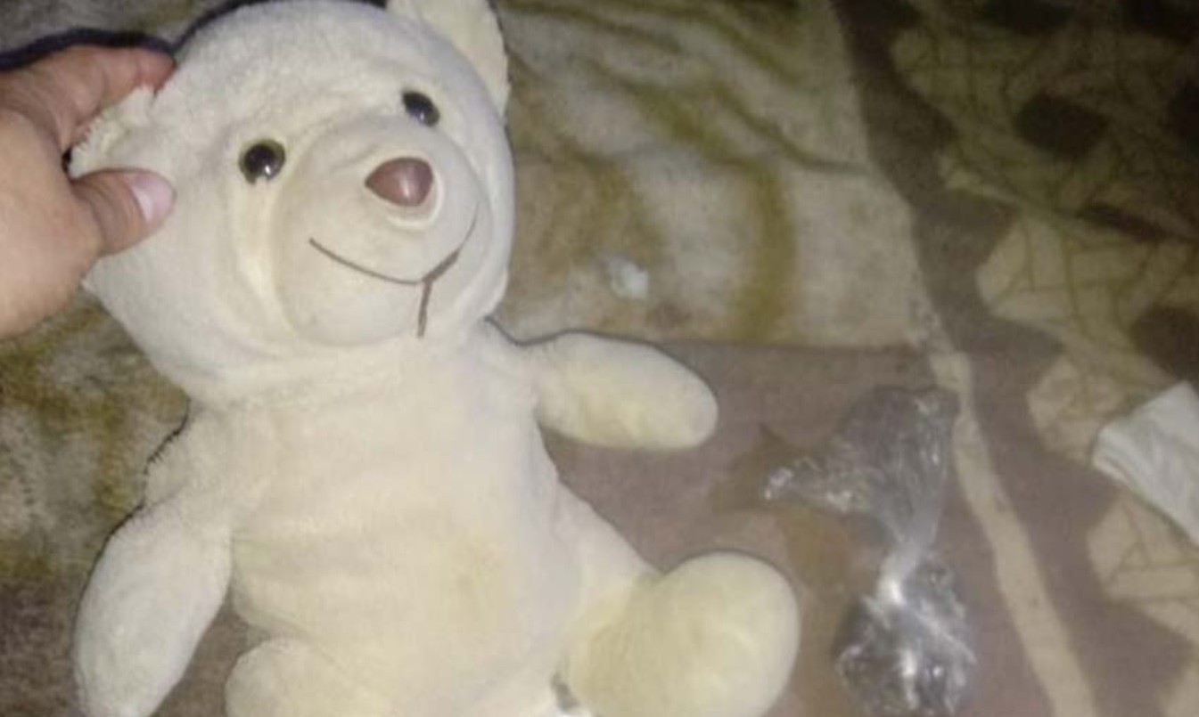 Cocaína oculta en el oso de peluche | Actualidad