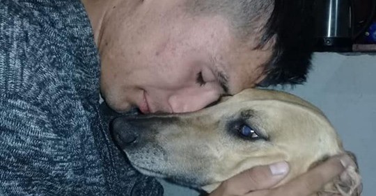 Conmovedor: ofrece un auto como recompensa para recuperar a su perro | Actualidad