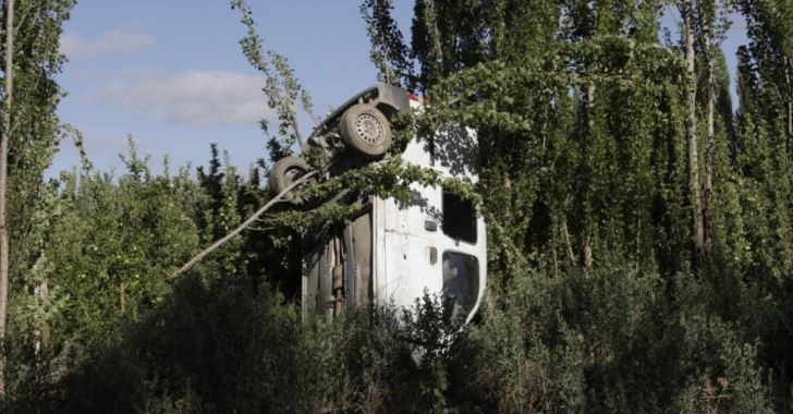 Extraño accidente: una camioneta quedó colgando de un árbol | Actualidad