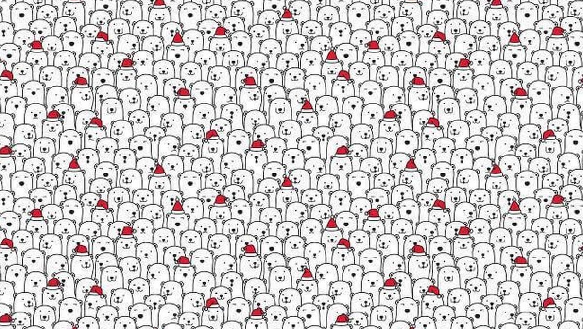 Desafío viral: hay que encontrar al perro entre los osos polares en menos de 3 minutos | Redes
