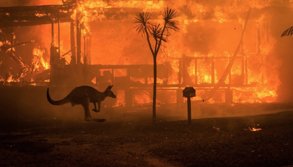 El humo de los incendios en Australia podría perjudicar a los glaciares | Actualidad