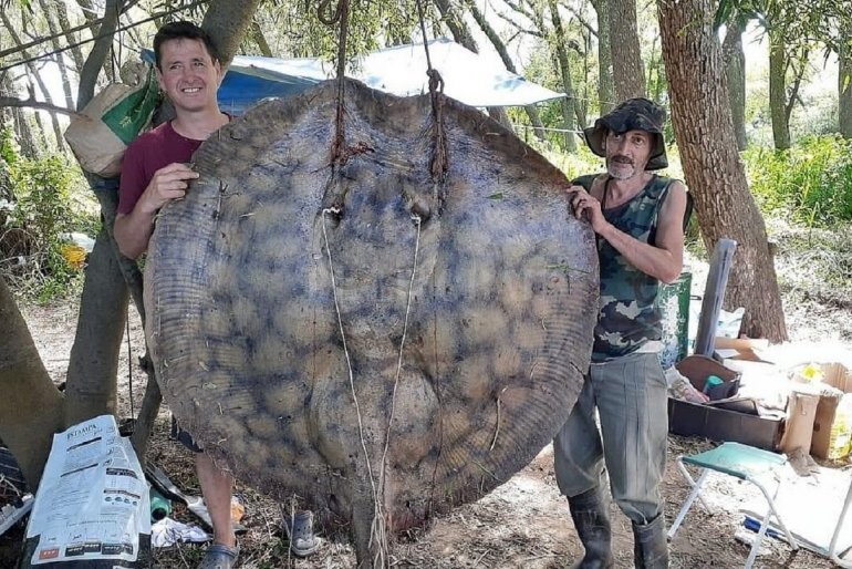 Los pescadores que capturaron una raya de 153 kilos del río Paraná | Actualidad