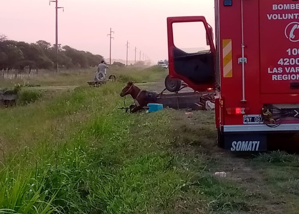 Camión chocó a un carro tirado por un caballo que circulaba por la ruta: dos muertos | Actualidad