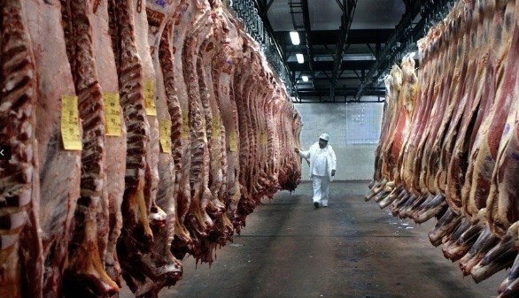 El Gobierno busca incluir a la carne en el Plan contra el Hambre | Política