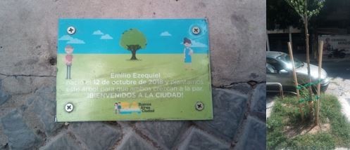 Los bebés porteños ya apadrinan 265 árboles | Actualidad