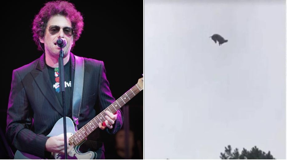 Andrés Calamaro le escribió 100 versos al chancho de Punta del Este | Espectáculos