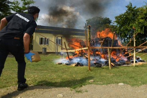 La policía quemó más de 3 toneladas de marihuana al aire libre y drogó a todo un pueblo | Internacionales