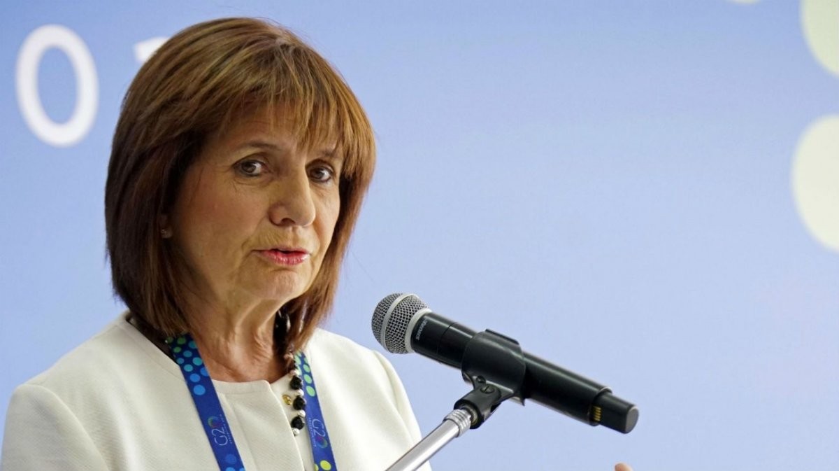 Patricia Bullrich: “Con una Taser, al rugbier fortachón, violento y animal lo dejás sin recursos” | Política