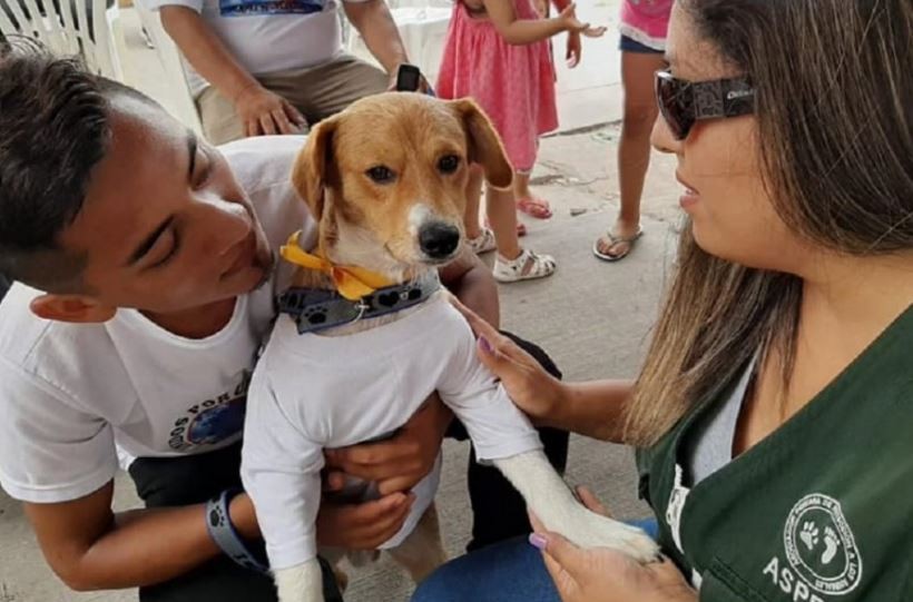 Perú: un niño de 13 años salvó a su perro de un incendio y terminó muriendo | Internacionales