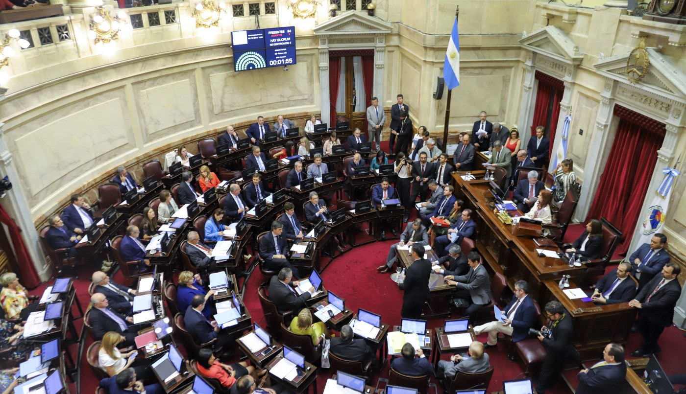 El Senado debate la renegociación de la deuda externa | Política