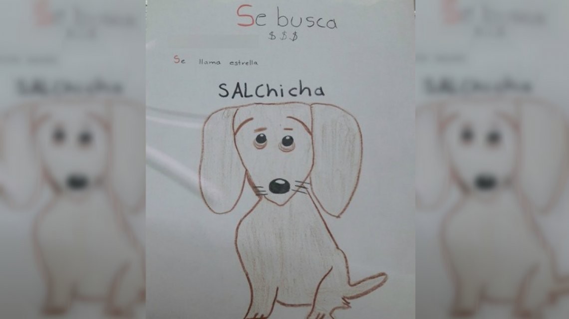 Se le perdió su perrita y como no tenía foto, hizo un dibujo | Internacionales