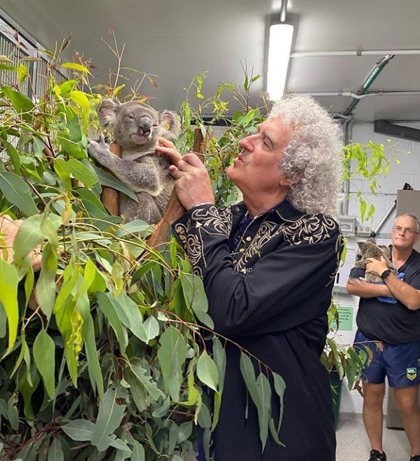 El guitarrista de “Queen” tocó para un koala rescatado de los incendios de Australia | Internacionales
