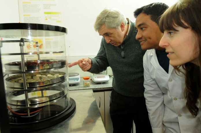Avanza el proyecto de una planta de alimentos deshidratados que hará guiso para sectores vulnerables | Actualidad