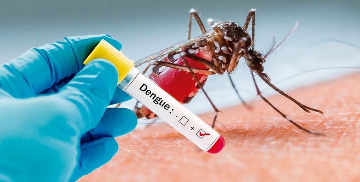 ¿Qué hacer para prevenir el dengue: recomendaciones y síntomas | Actualidad