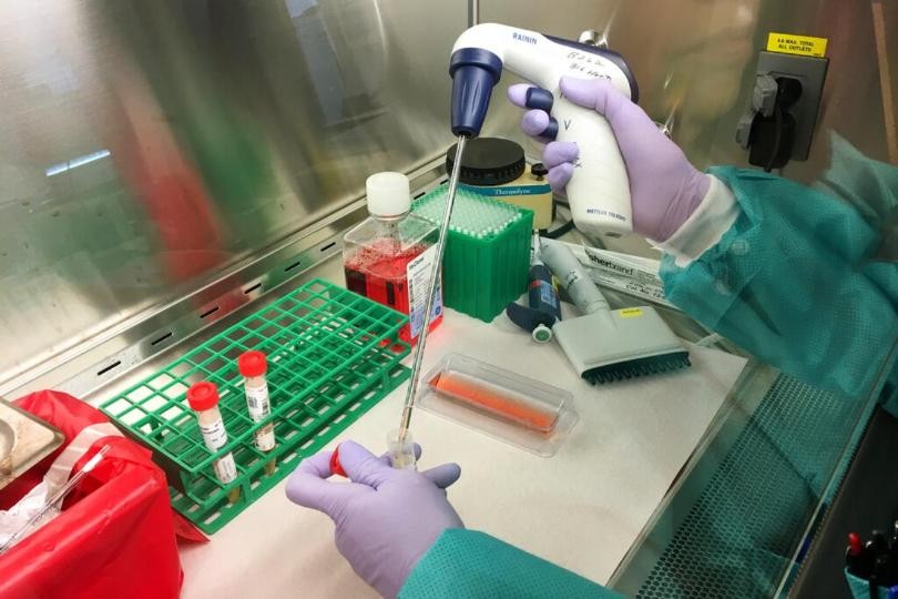 Coronavirus: aislaron en Iguazú a turista alemán con síntomas | Actualidad
