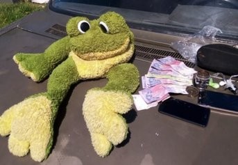 La Plata: usaban un peluche del Sapo Pepe para esconder droga y venderla | Actualidad