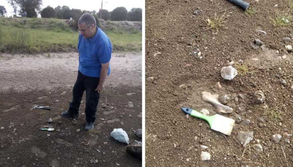 Un gliptodonte en una laguna bonaerense: restos de hace miles de años | Actualidad