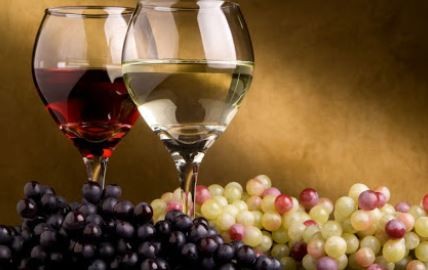 Destinan productos vitivinícolas en infracción a su destilación para fabricar alcohol | Actualidad