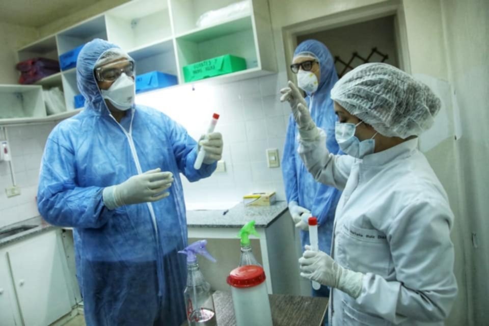 Coronavirus: hay 20 muertos y 820 contagiados en la Argentina | Actualidad