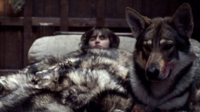 Murió Summer, el perro de Bran Stark en "Games of Thrones" | Espectáculos