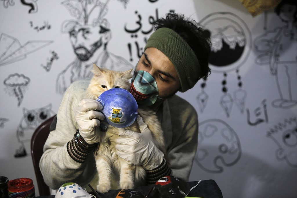 Alertan por el uso de detergente e hidrogel para desinfectar a perros y gatos | Actualidad