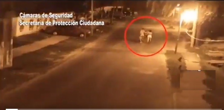 Autopsia: fue violada y estrangulada la mujer asesinada en la calle en Tigre | Actualidad