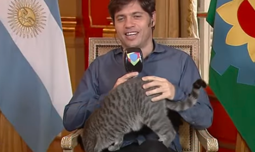 Video: la gatita que apareció en vivo en el escritorio de Axel Kicillof | Política