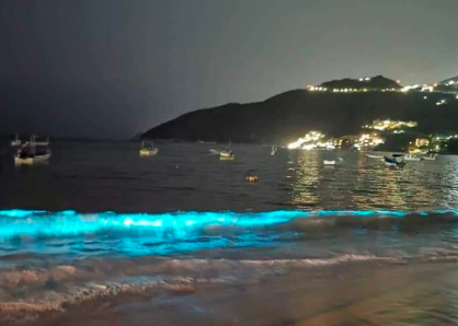 Efecto cuarentena: El mar iluminado en la noche de Acapulco | Curiosidades