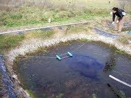 Premian una investigación argentina sobre glifosato en el agua | Actualidad