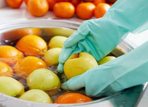 Especialistas alertan: el mal uso de productos de limpieza causa intoxicaciones | Actualidad