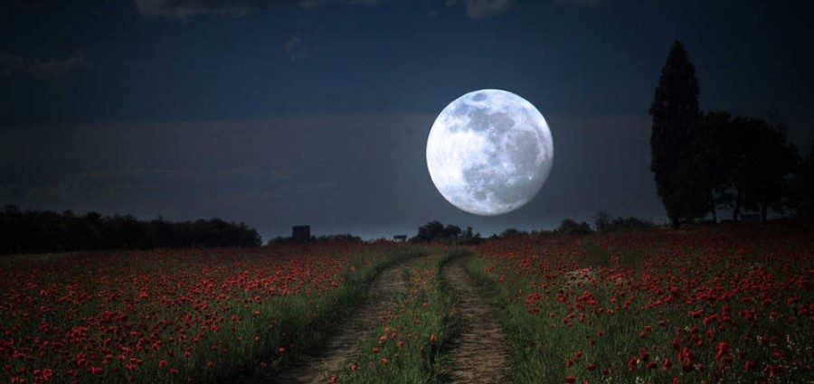 Luna llena de flor: cuándo se podrá ver la última superluna de 2020 | Actualidad