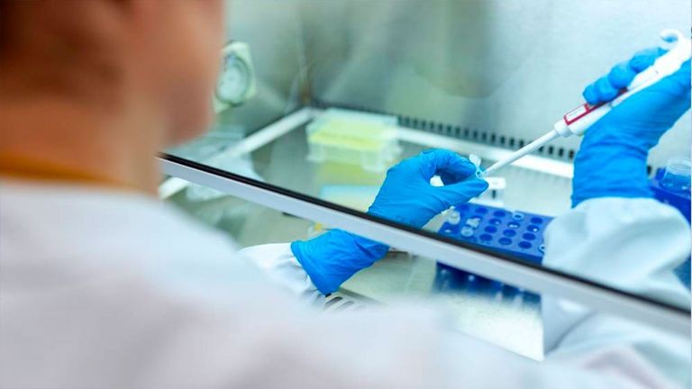 La UBA participará en las pruebas de una vacuna contra el nuevo coronavirus | Actualidad