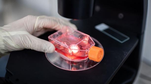 Hallaron coronavirus en el semen de pacientes infectados | Internacionales