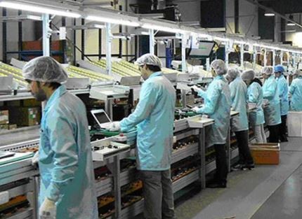 Nueva etapa de la cuarentena: esta semana reabren más de 600 fábricas | Actualidad