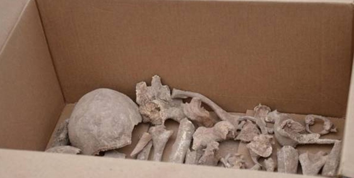 Jujuy: encontraron un esqueleto de 2.000 años de antigüedad | Actualidad