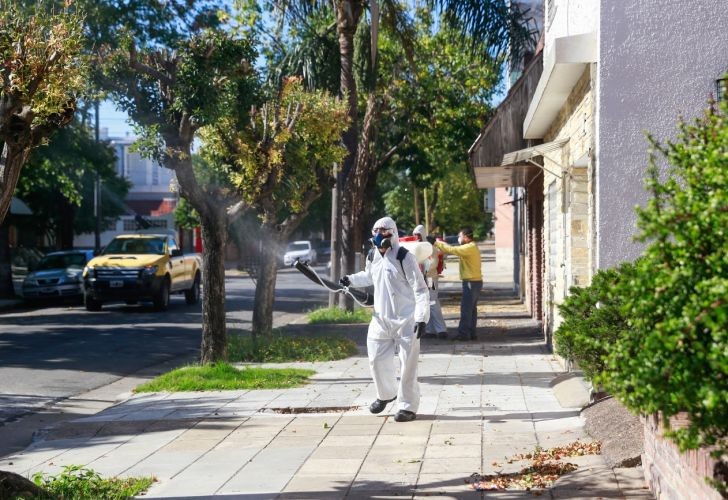 Son 6.896 los casos de dengue en ciudad de Buenos Aires desde el inicio del año | Actualidad