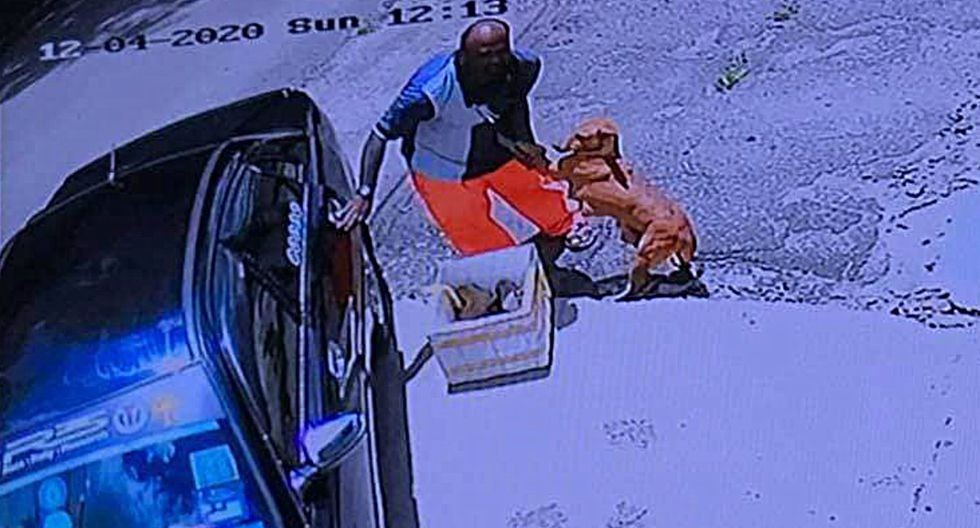 La perra que se abraza a su dueño en el momento de ser abandonada junto a sus cachorros | Curiosidades