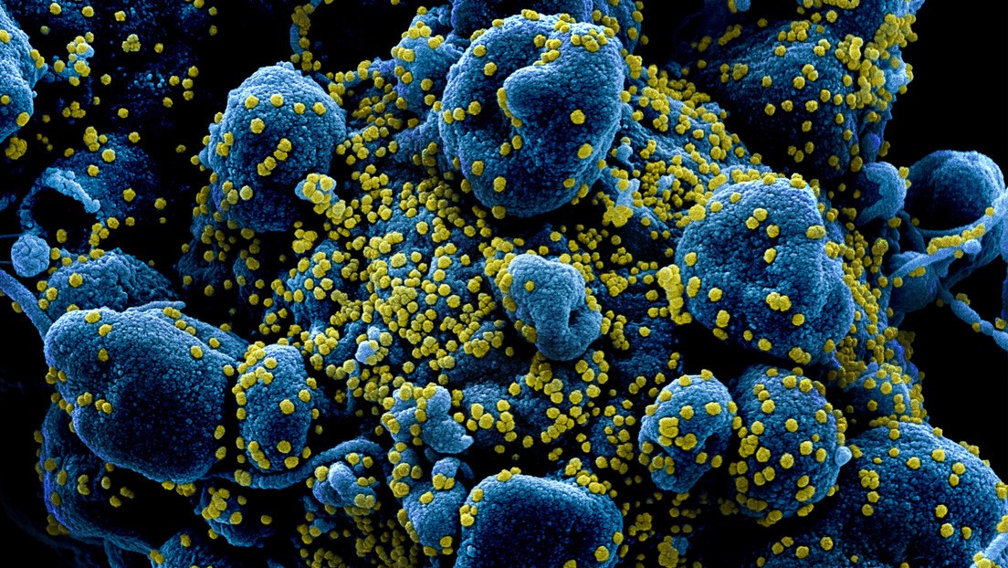 Un estudio indica que el coronavirus tiene una tasa de mortalidad del 1% | Internacionales