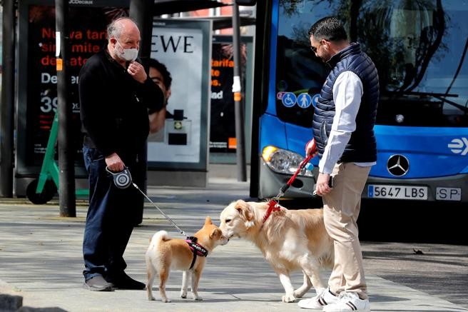 Crearon un registro de voluntarios para que cuiden a las mascotas de los pacientes con coronavirus | Actualidad