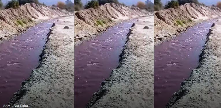 Video: el río de vino tinto que sorprendió a los vecinos de Cafayate | Actualidad