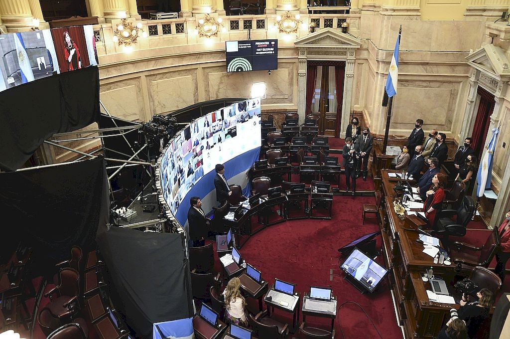 El Senado aprobó las primeras tres leyes a distancia en medio de la pandemia | Política