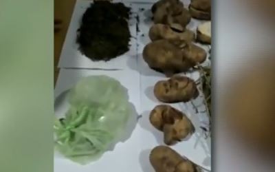 Detuvieron a un distribuidor de "papas verdes"en Tolosa: estaban rellenas con marihuana | Actualidad