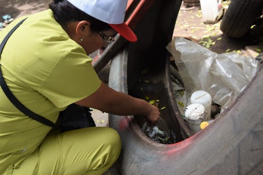 Crece el número de casos de dengue en Jujuy y ya suman cerca de 4.500 | Actualidad