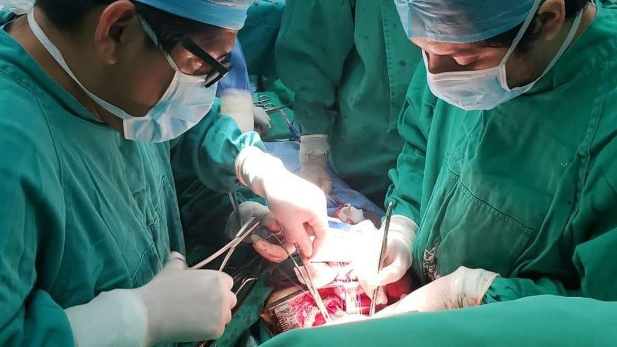 Día Nacional de la Donación de Órganos: Incucai celebra 218 trasplantes realizados en cuarentena | Actualidad