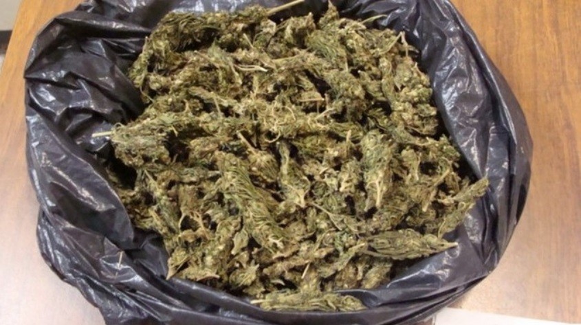 Condenaron a dos jóvenes que llevaban 5 kilos de marihuana para "consumo personal" | Actualidad