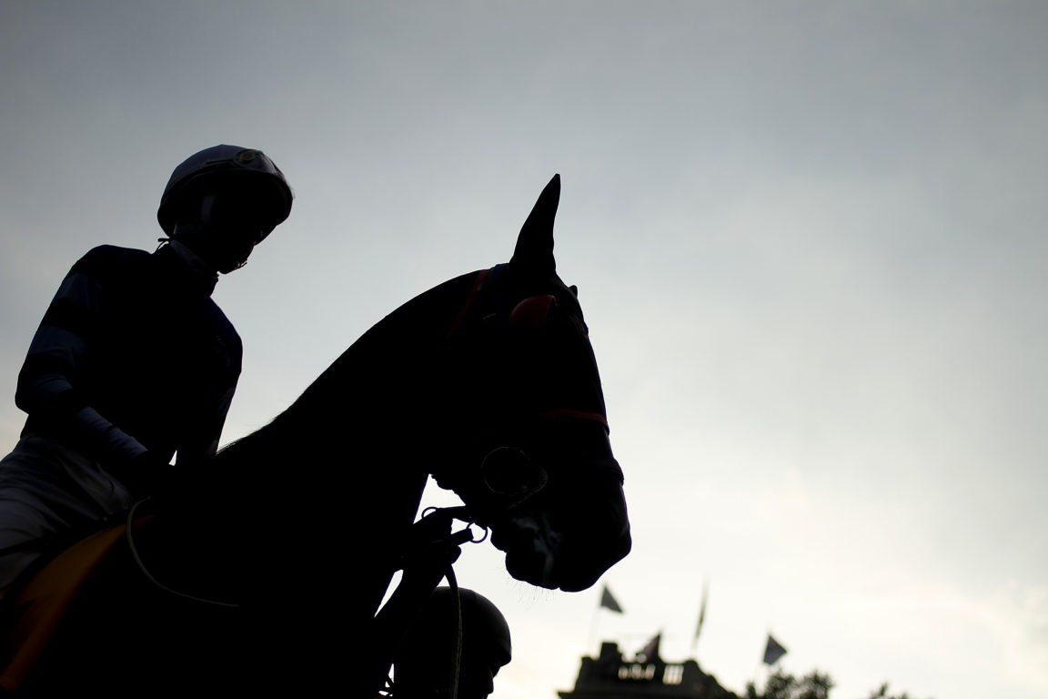 Por falta de carreras, advierten que tendrían que sacrificar caballos | Internacionales